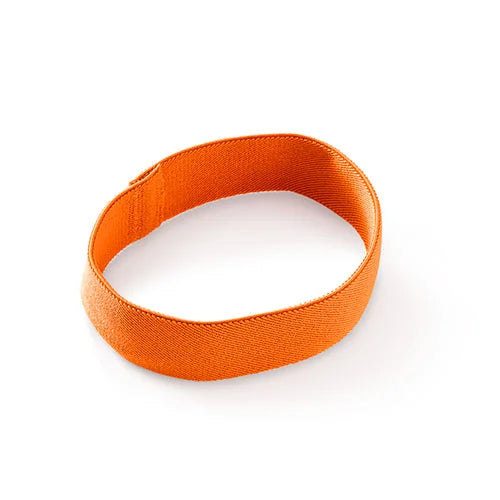 Replacement Band for Bento Box